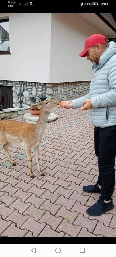 Willa Agroturystyka Pod Lasem Poronin Zewnętrze zdjęcie