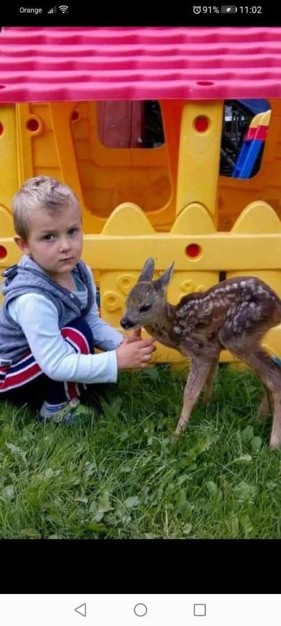 Willa Agroturystyka Pod Lasem Poronin Zewnętrze zdjęcie